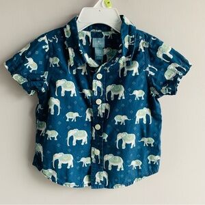 Elephant Shirt Blue Green Short Sleeve Classic Little Boy Girl Cotton 6-12 mth